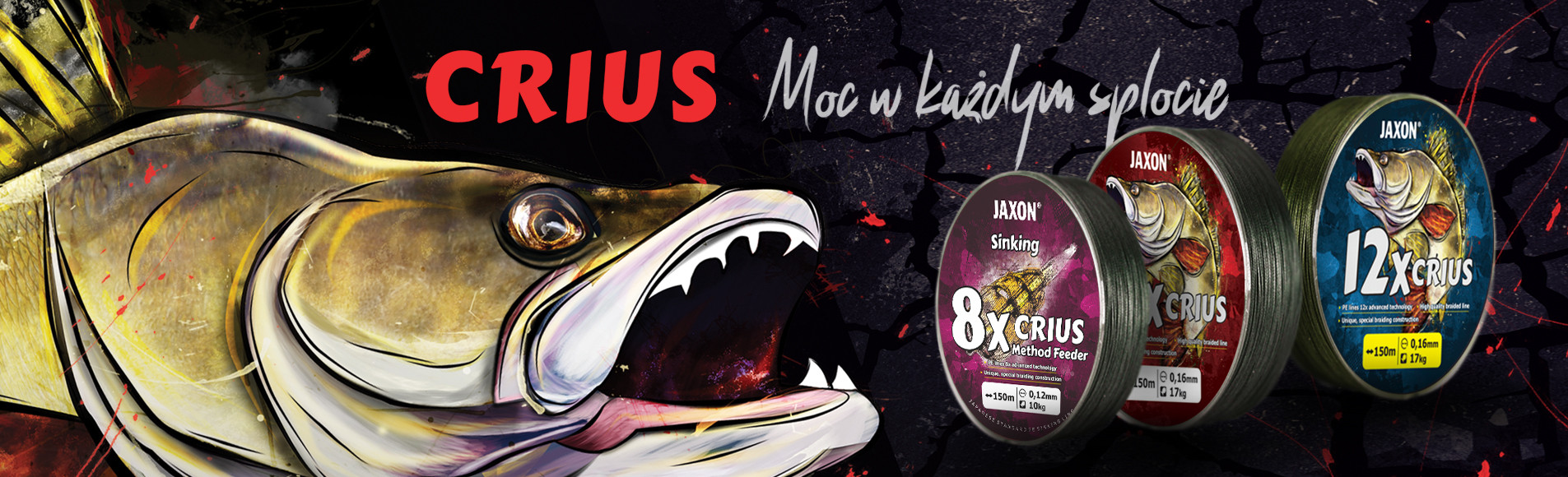 Crius